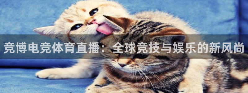 竞博电竞体育直播：全球竞技与娱乐的新风尚
