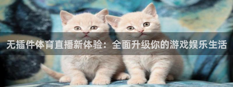 无插件体育直播新体验：全面升级你的游戏娱乐生活