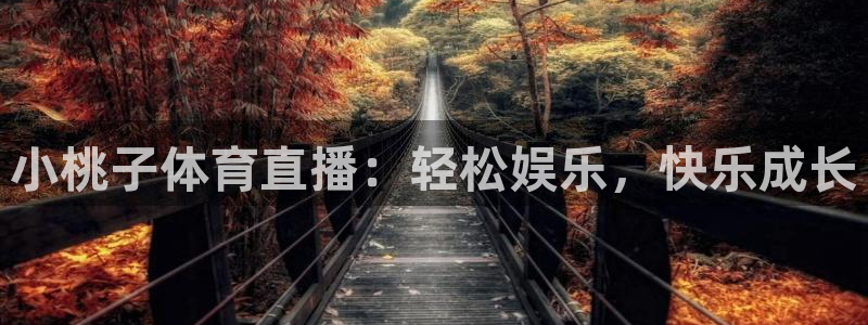 小桃子体育直播：轻松娱乐，快乐成长