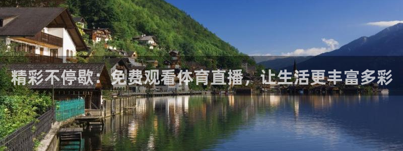 精彩不停歇：免费观看体育直播，让生活更丰富多彩