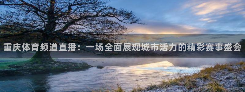 重庆体育频道直播：一场全面展现城市活力的精彩赛事盛会