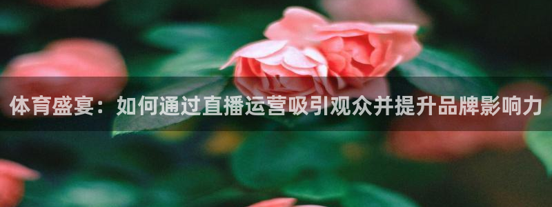 体育盛宴：如何通过直播运营吸引观众并提升品牌影响力