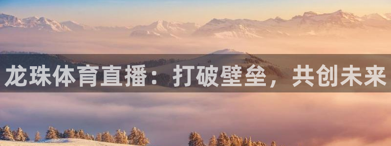 龙珠体育直播：打破壁垒，共创未来