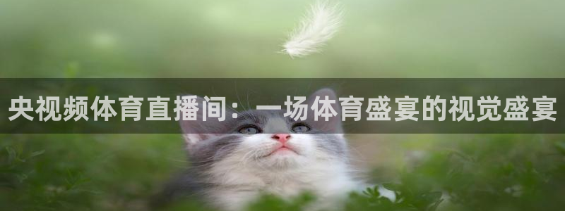 央视频体育直播间：一场体育盛宴的视觉盛宴