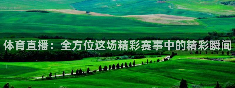 体育直播：全方位这场精彩赛事中的精彩瞬间