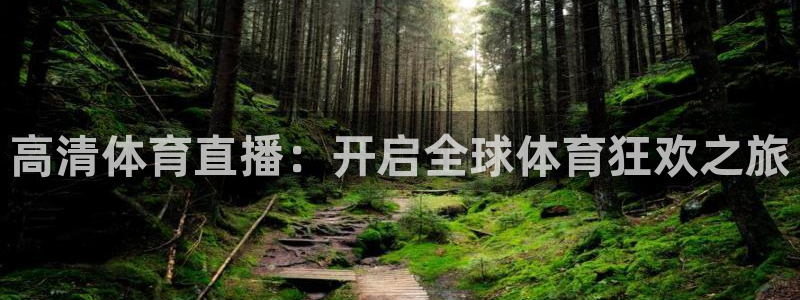 高清体育直播：开启全球体育狂欢之旅