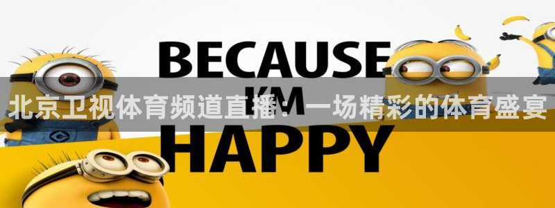 北京卫视体育频道直播：一场精彩的体育盛宴