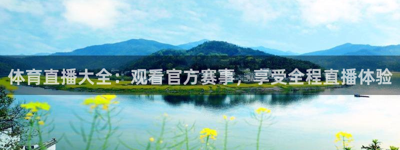 体育直播大全：观看官方赛事，享受全程直播体验