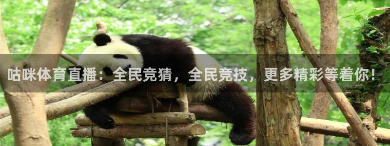 咕咪体育直播：全民竞猜，全民竞技，更多精彩等着你！